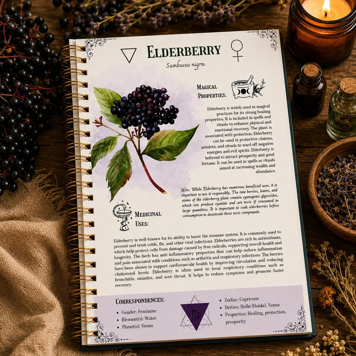 Ancient Remedies Healing Handbook 2026 Herbal Medicine Guide Natural