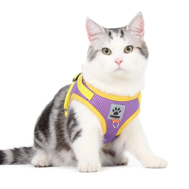 Reflective Mesh Pet Harness & Leash Set – Cats & Small Dogs