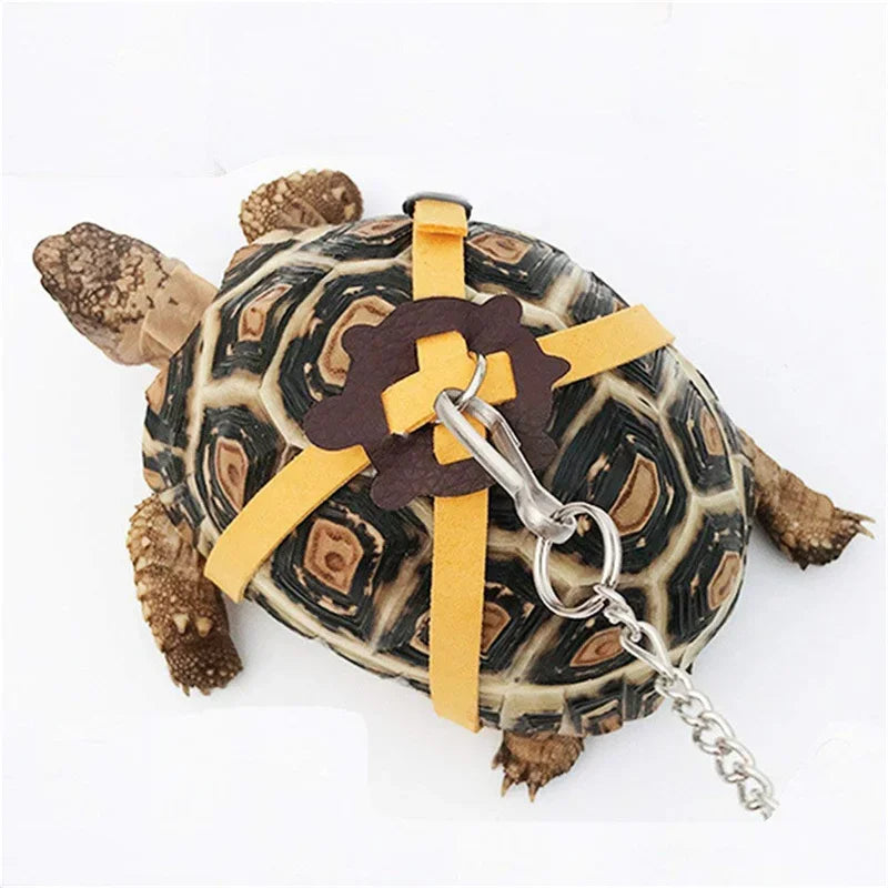 Pet Turtle Leash & Harness – Outdoor Training Traction Belt
