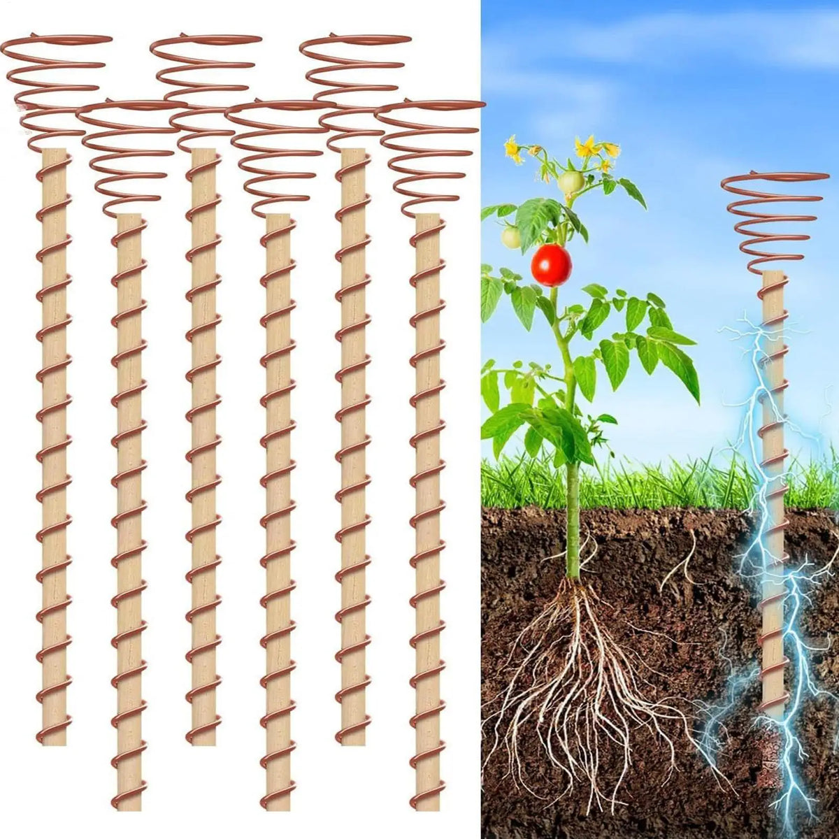 6-Pack Electroculture Copper Coil Plant Stakes for Garden Growth