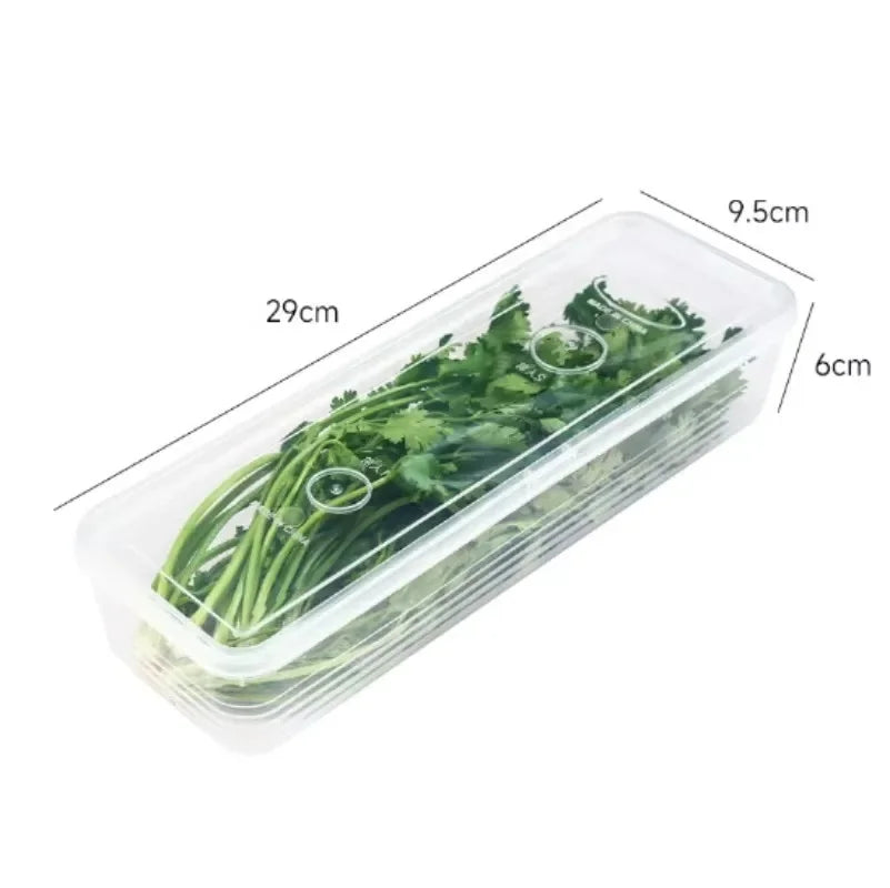 Fresh Box Refrigerator Storage Boxes Scallions Food Container Lid
