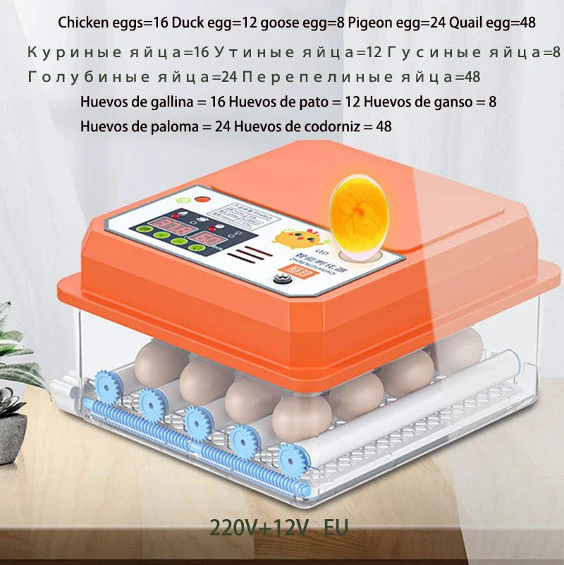 16-Egg Digital Automatic Egg Incubator with Auto Turner