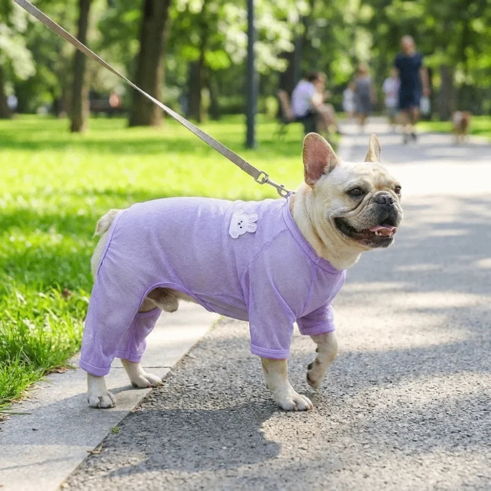 Mesh Dog Sun-Proof Vest | Breathable Summer Pet Clothes & D-Ring