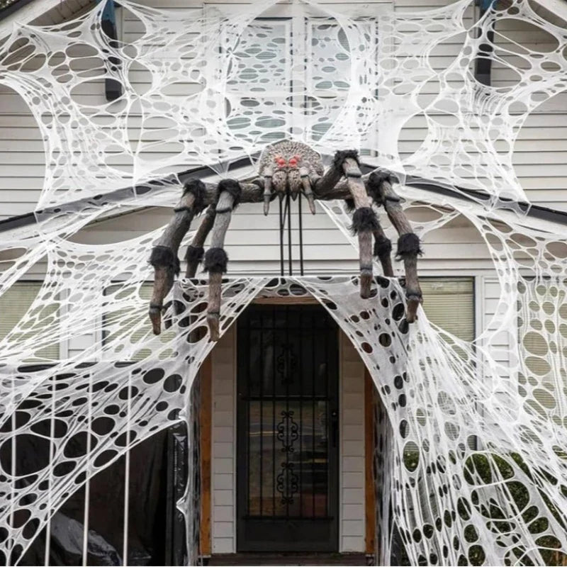 Large Stretchable Halloween Spider Web Cobweb Decoration Set