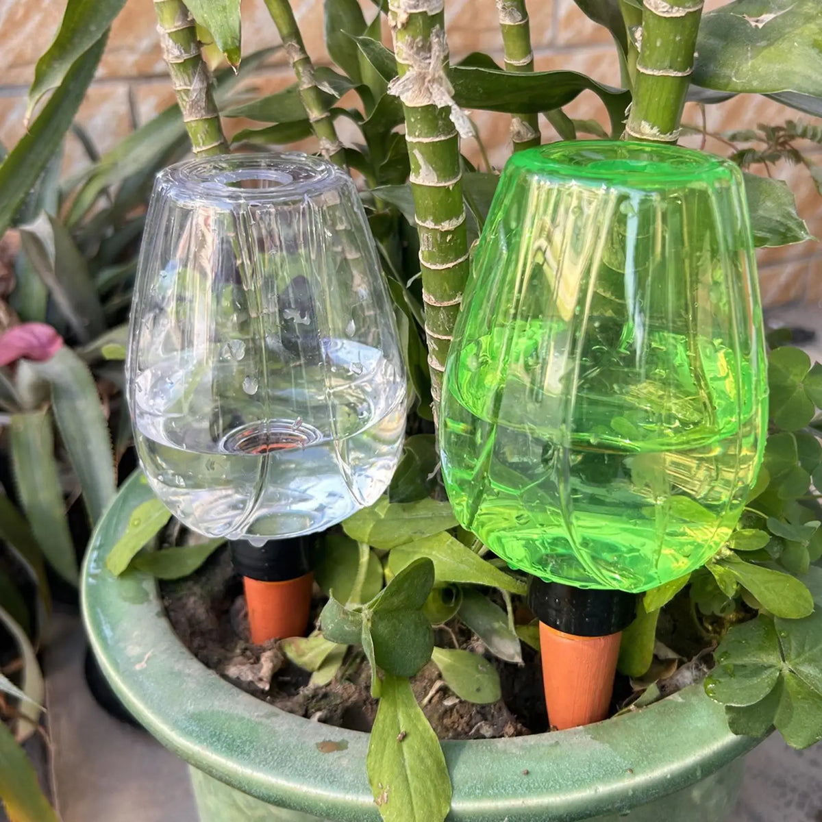 350ml Self-Watering Globe – Automatic Plant Drip Irrigator