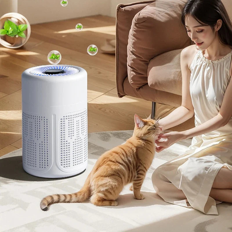 Mini Desktop HEPA Air Purifier | Negative Ion & Carbon Filter
