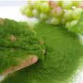 Artificial Grass Powder for Micro Landscape & Diorama – 35g