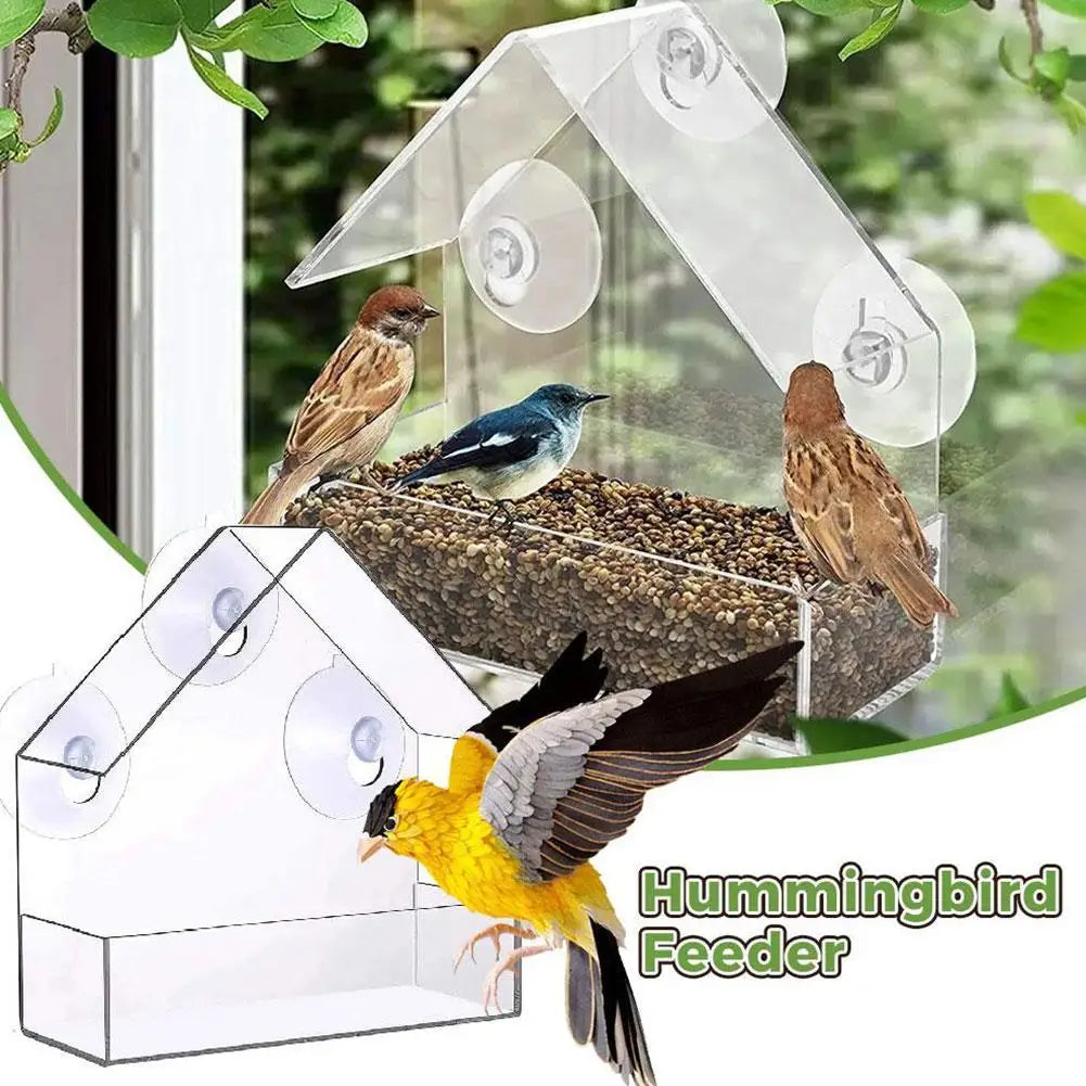Clear Acrylic Window Bird Feeder with Suction Cup – Outdoor