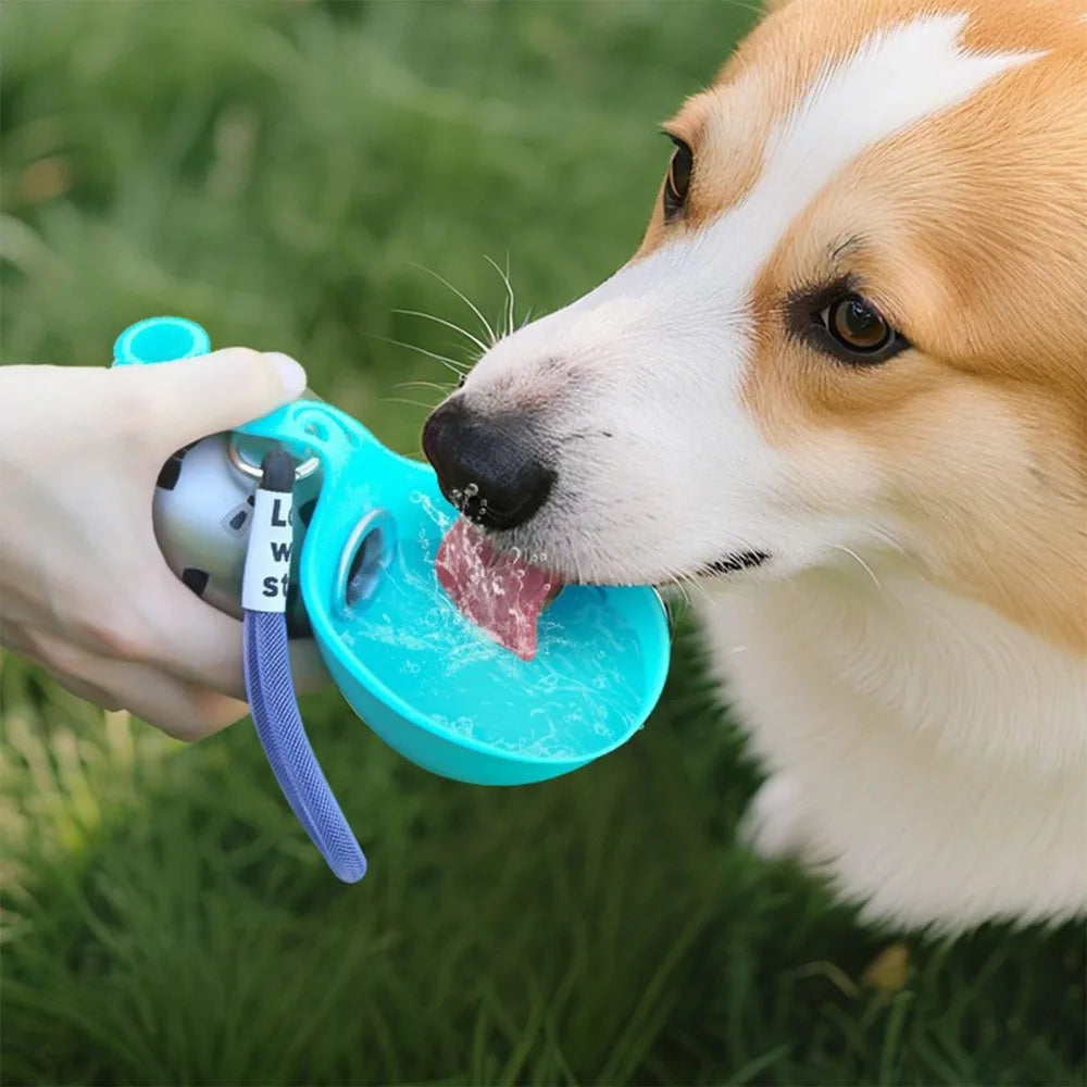 Portable Stainless Steel Pet Water Bottle with Silicone Bowl