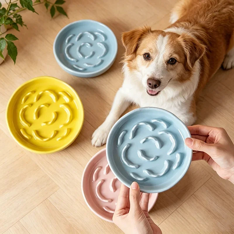 Ceramic Anti-Choking Slow Feeder Cat Bowl | Stable & Safe