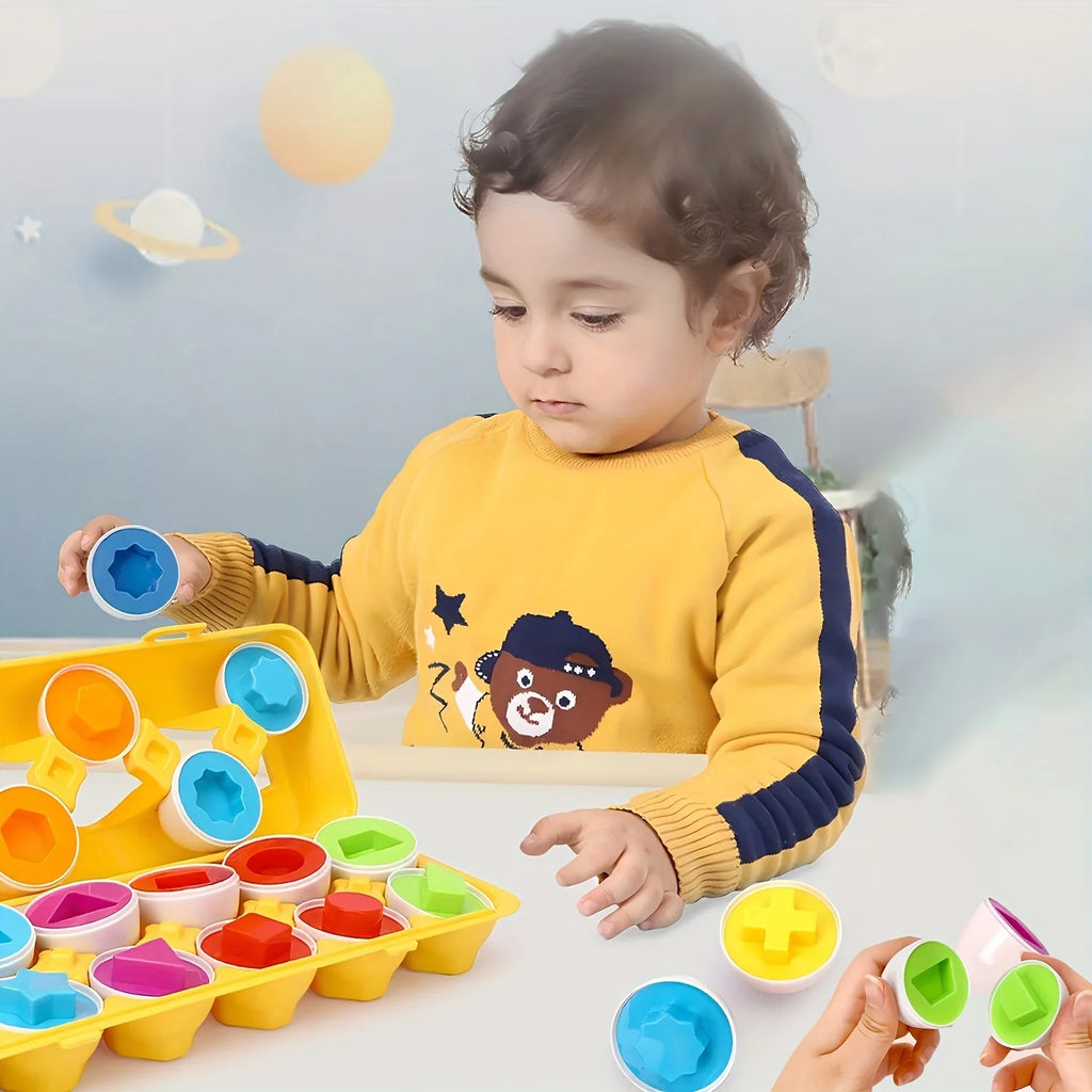 12 Shape Matching Toys Simulated Egg Shapes Storage Box Geometric