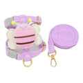 Small Dog & Cat Harness – Adjustable Nylon Chest Strap