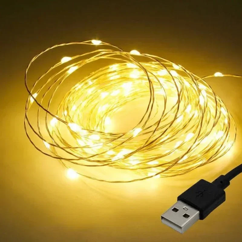 USB Copper Wire LED Fairy String Lights | Party & Wedding