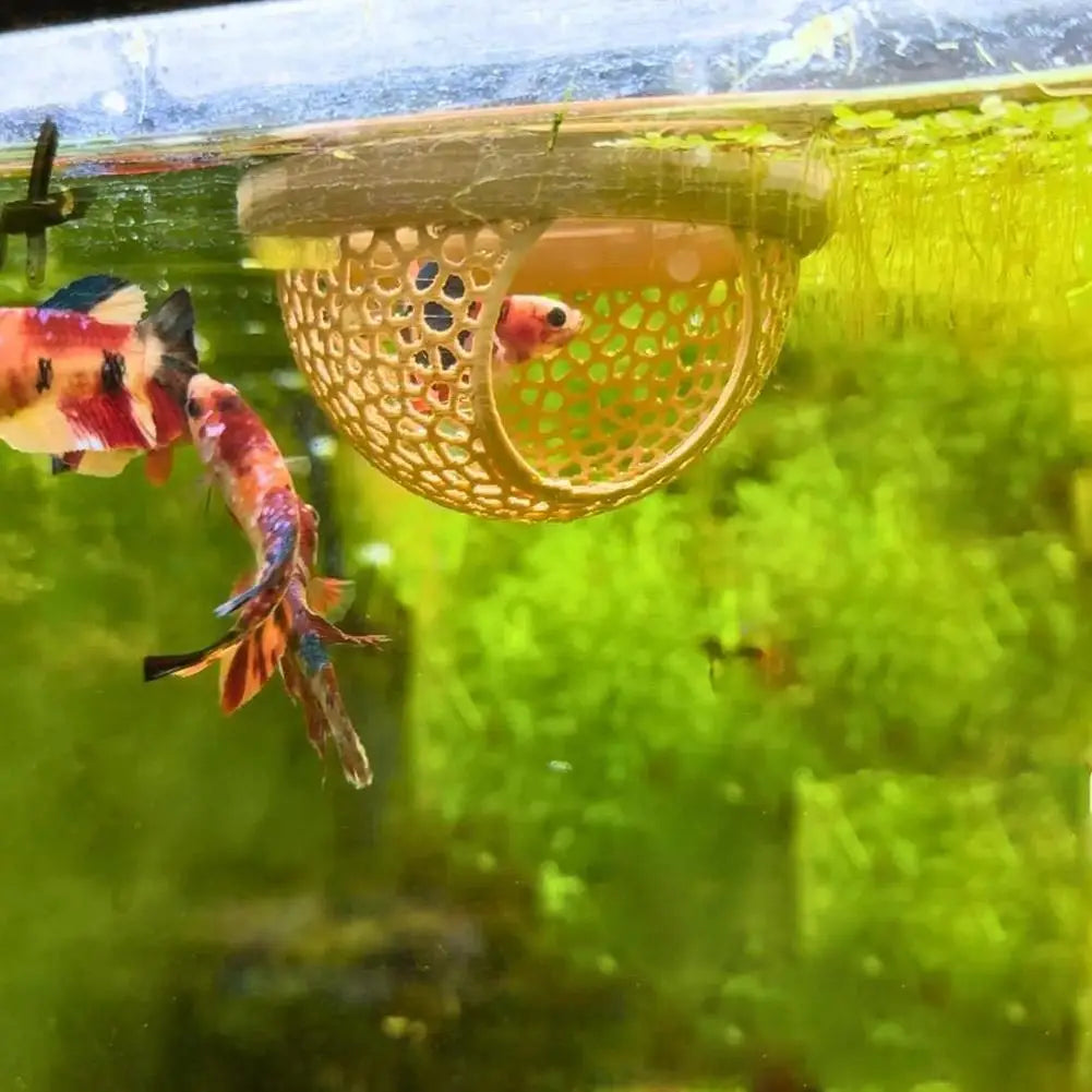 Floating Betta Fish Hideout Cave – Aquarium Rest & Shelter