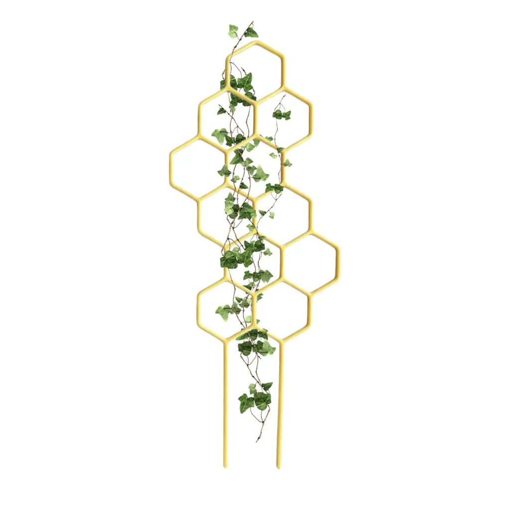 Rustproof Plastic Plant Trellis for Potted Vines & Flowers