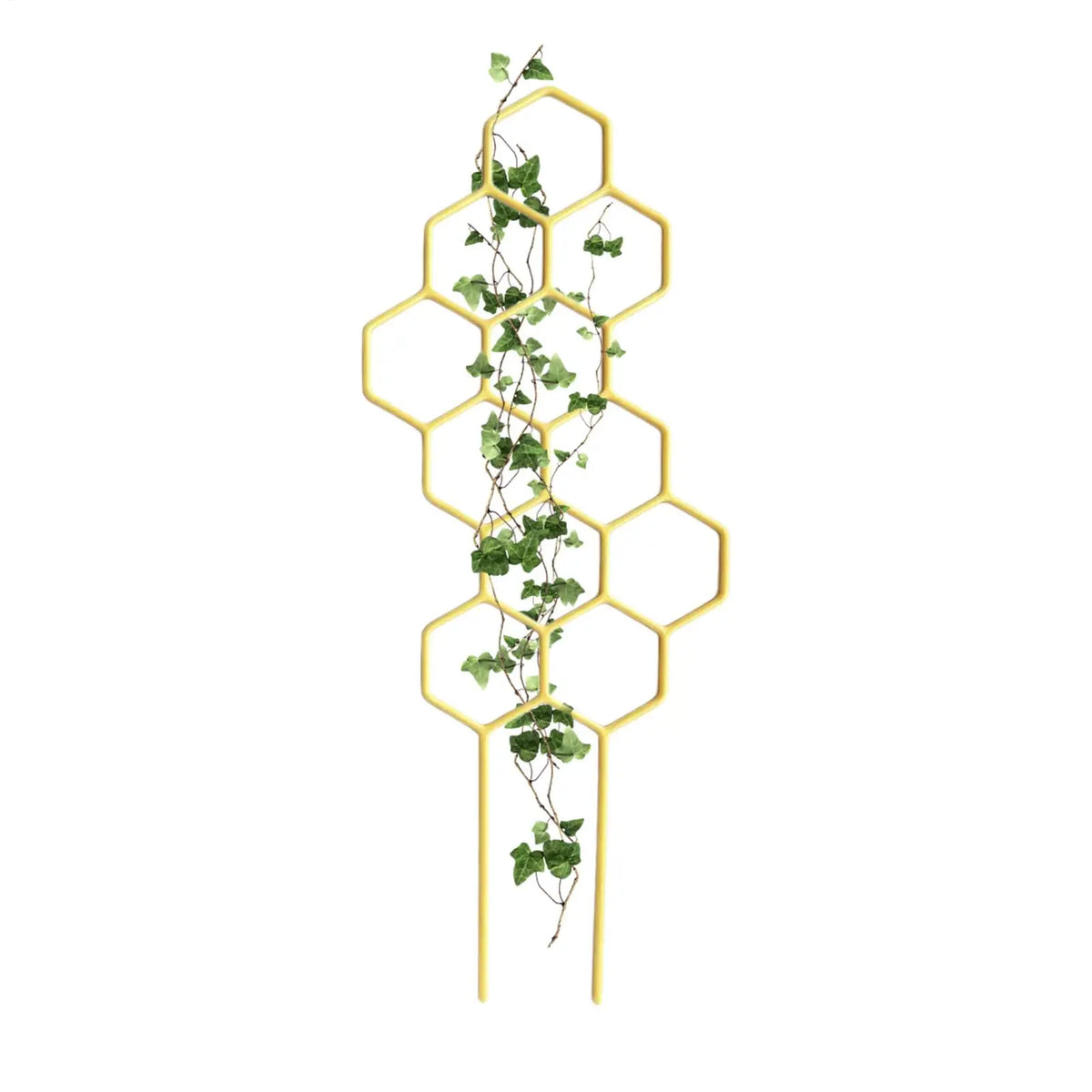 Rustproof Plastic Plant Trellis for Potted Vines & Flowers