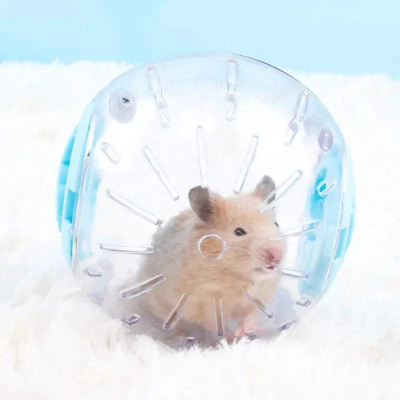 Hamster Exercise Ball – Transparent Running Ball for Small Pets