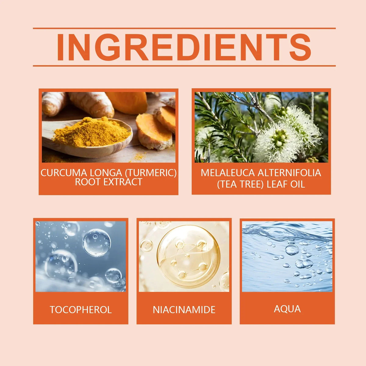Turmeric Brightening Moisturizing Cream 50g – Daily Face Care