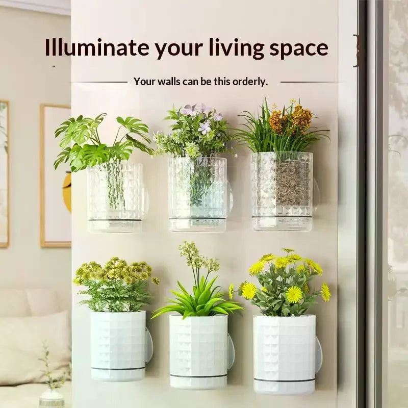 Hydroponic Wall Planter | Self-Adhesive Double Layer Hanging Vase