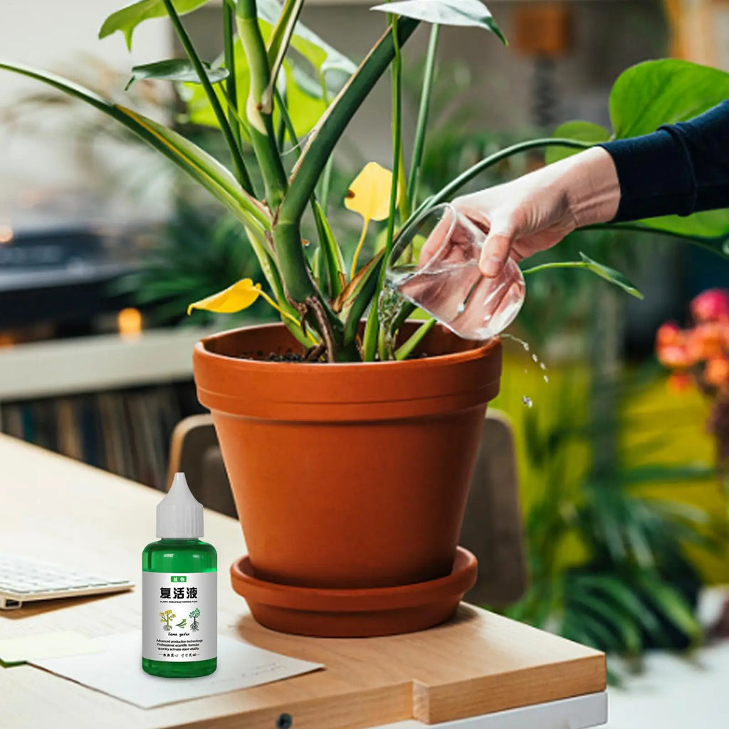 Plant Nutrient Solution 50ml – Organic Liquid Fertilizer for Plants