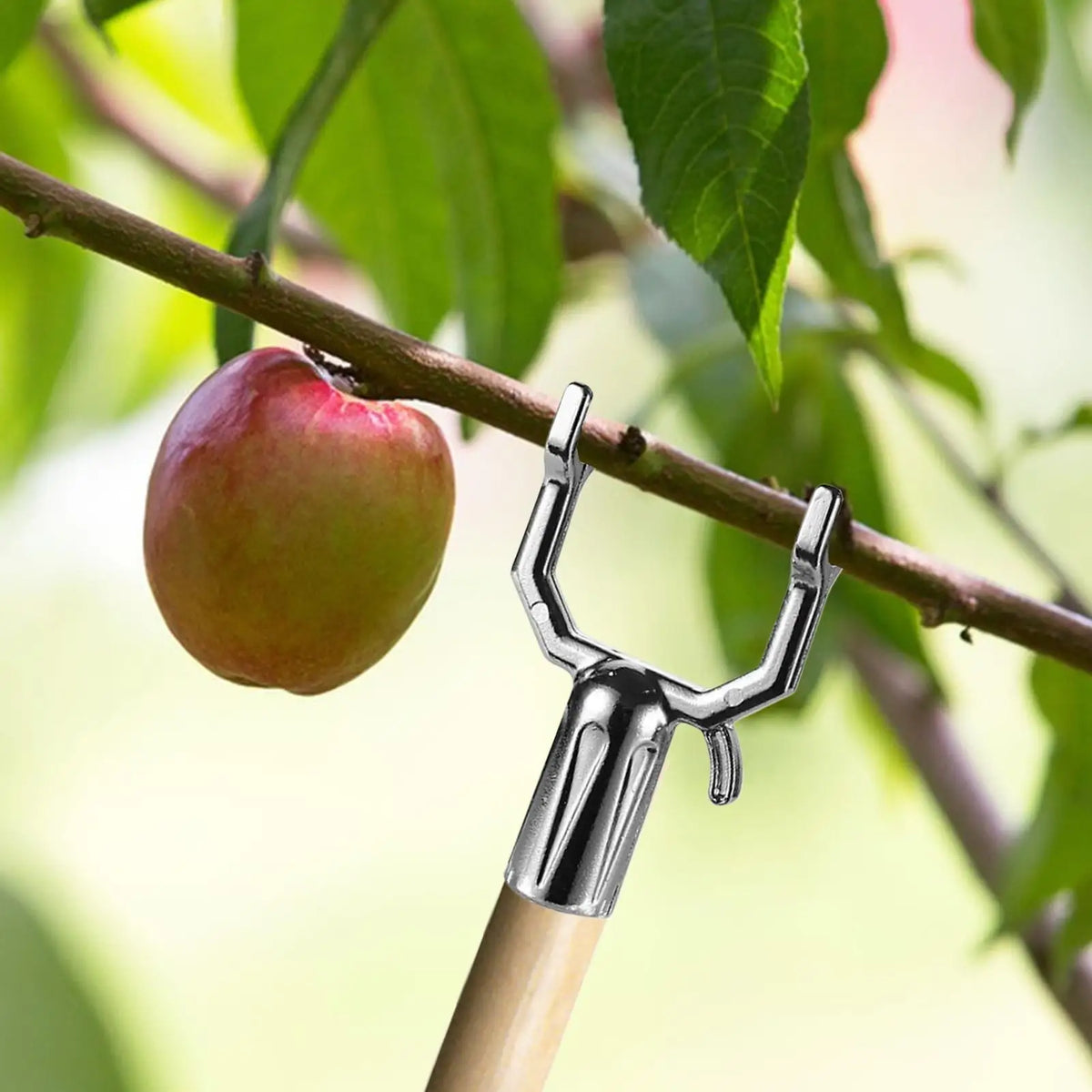 5-Pack Metal Tree Branch Support Kit | Garden Straightening Set