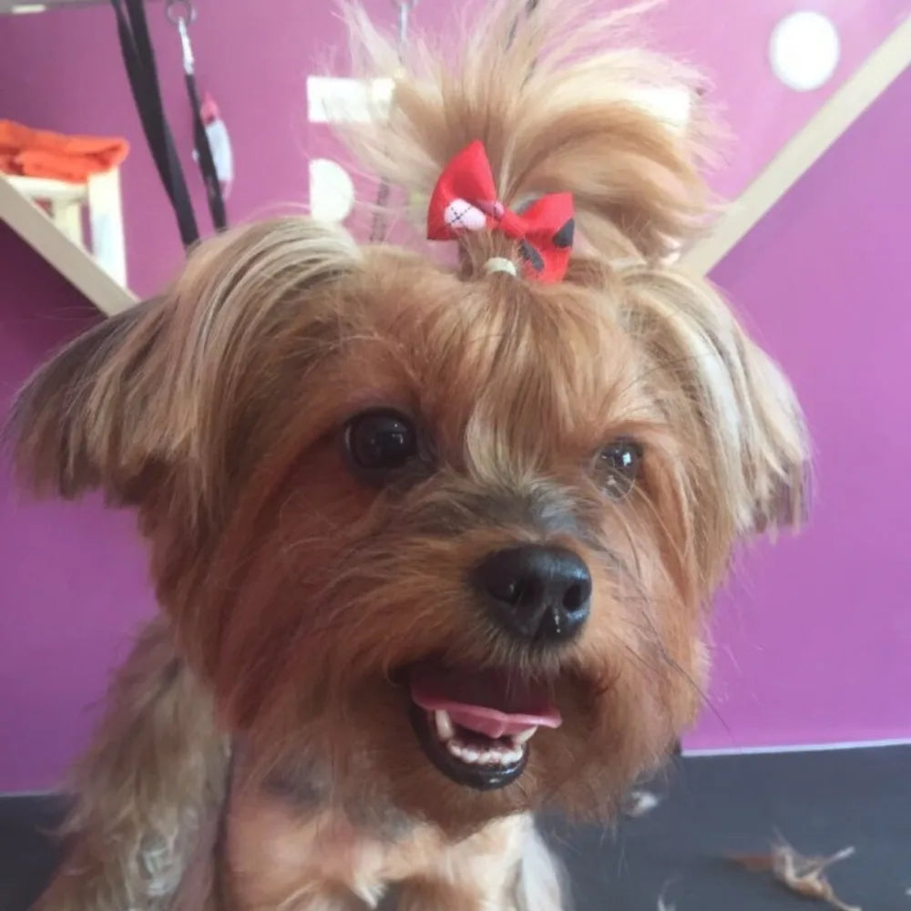10-Pack Cute Puppy Bow Hair Accessories for Dogs & Cats