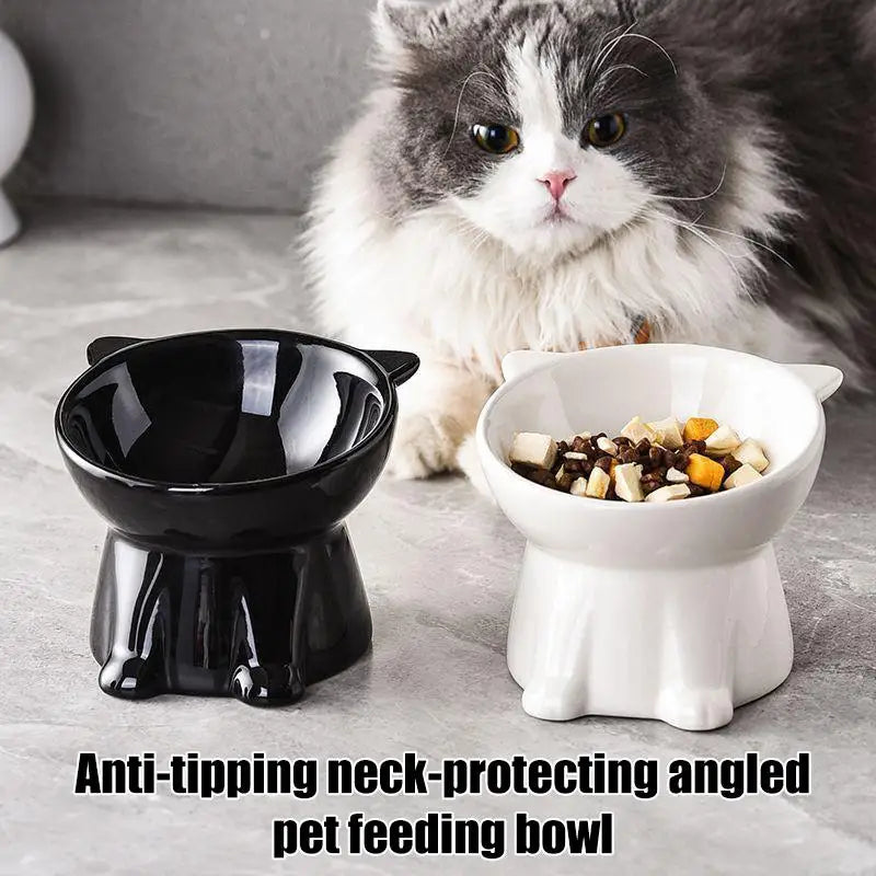 Raised Tilted Anti-Tip Pet Bowl – Cat & Dog Food Water Feeder