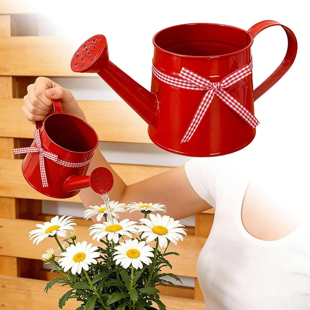 Mini Metal Watering Can – Decorative Indoor Plant Sprinkler 1L