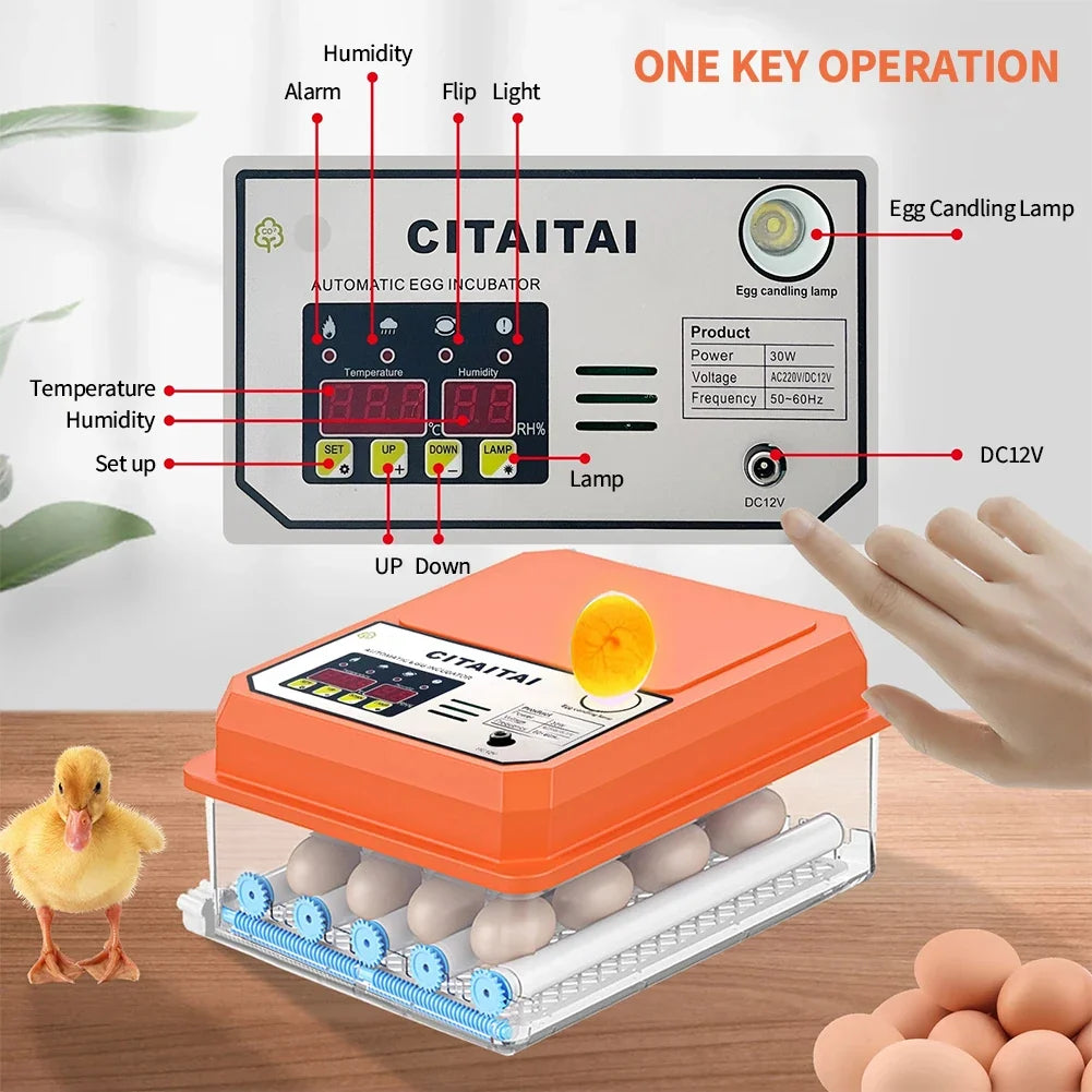 16-Egg Digital Automatic Egg Incubator with Auto Turner