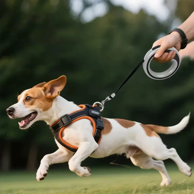 Retractable Dog Leash 250cm | Small to Medium Dogs