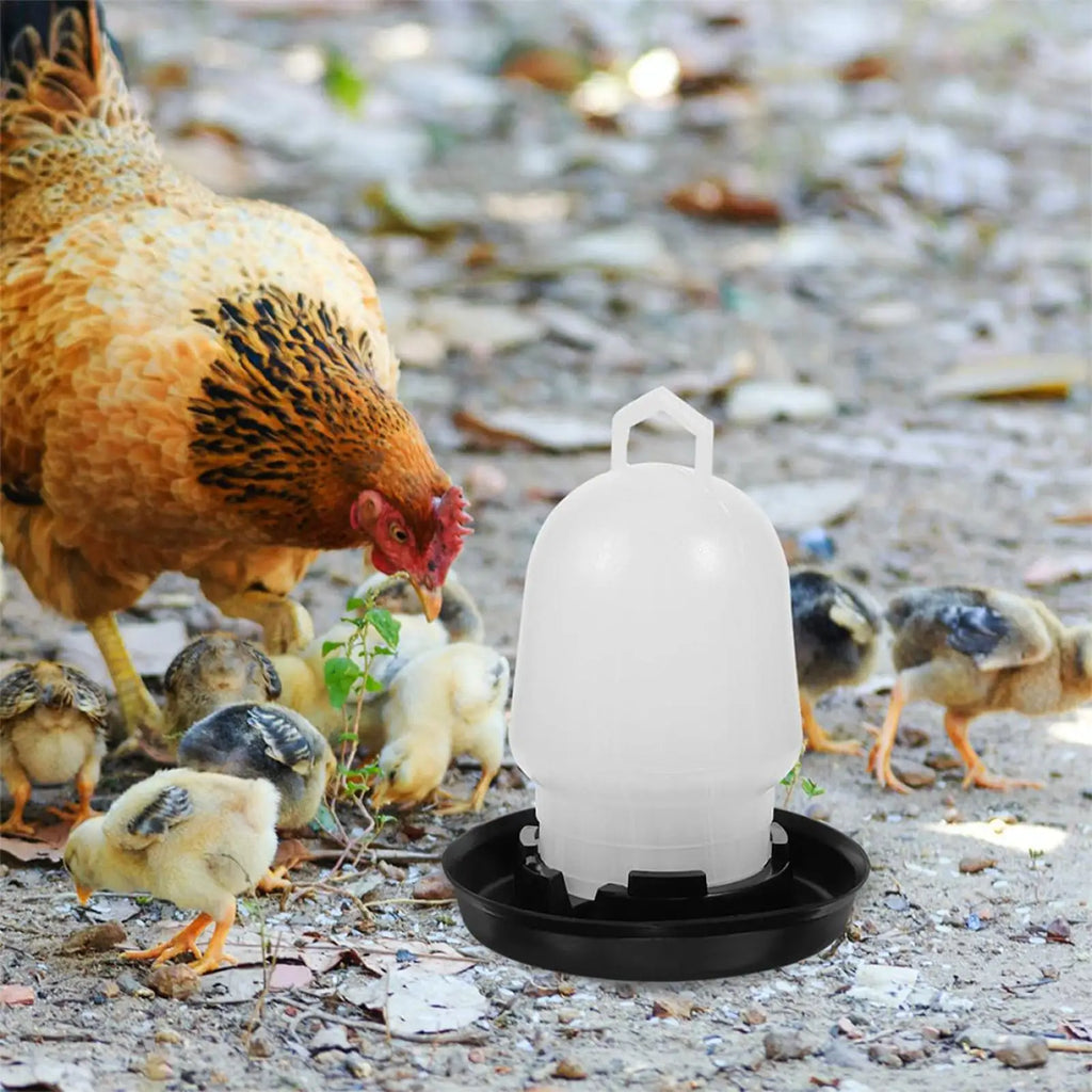 Automatic Chicken Waterer Poultry Drinker Duck Goose Pigeon Quail