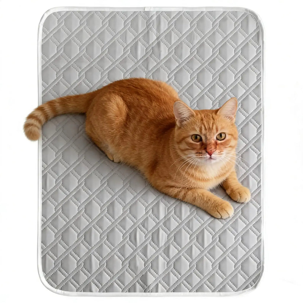 Pet Cooling Mat for Dogs & Cats – Summer Ice Pad Bed