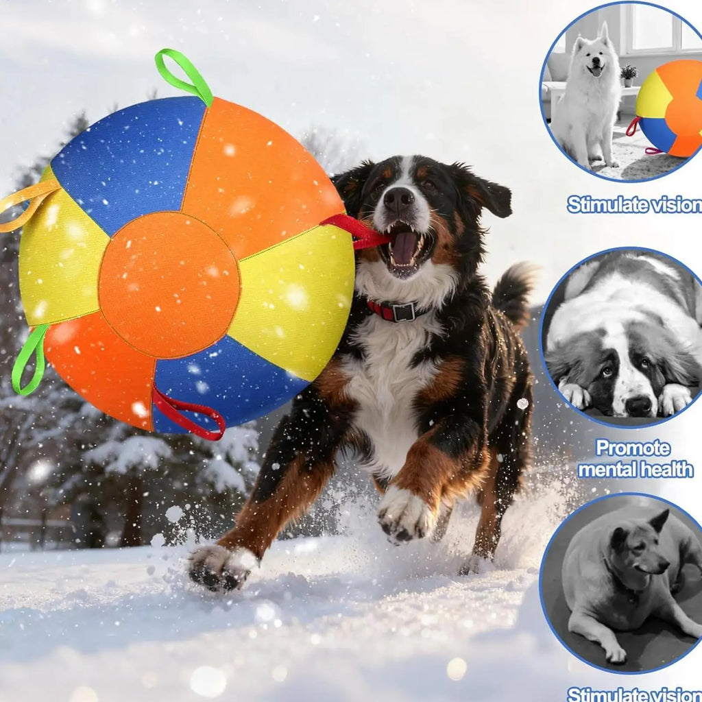 Dog Herding Ball with Handle – Tear-Resistant Inflatable Toy