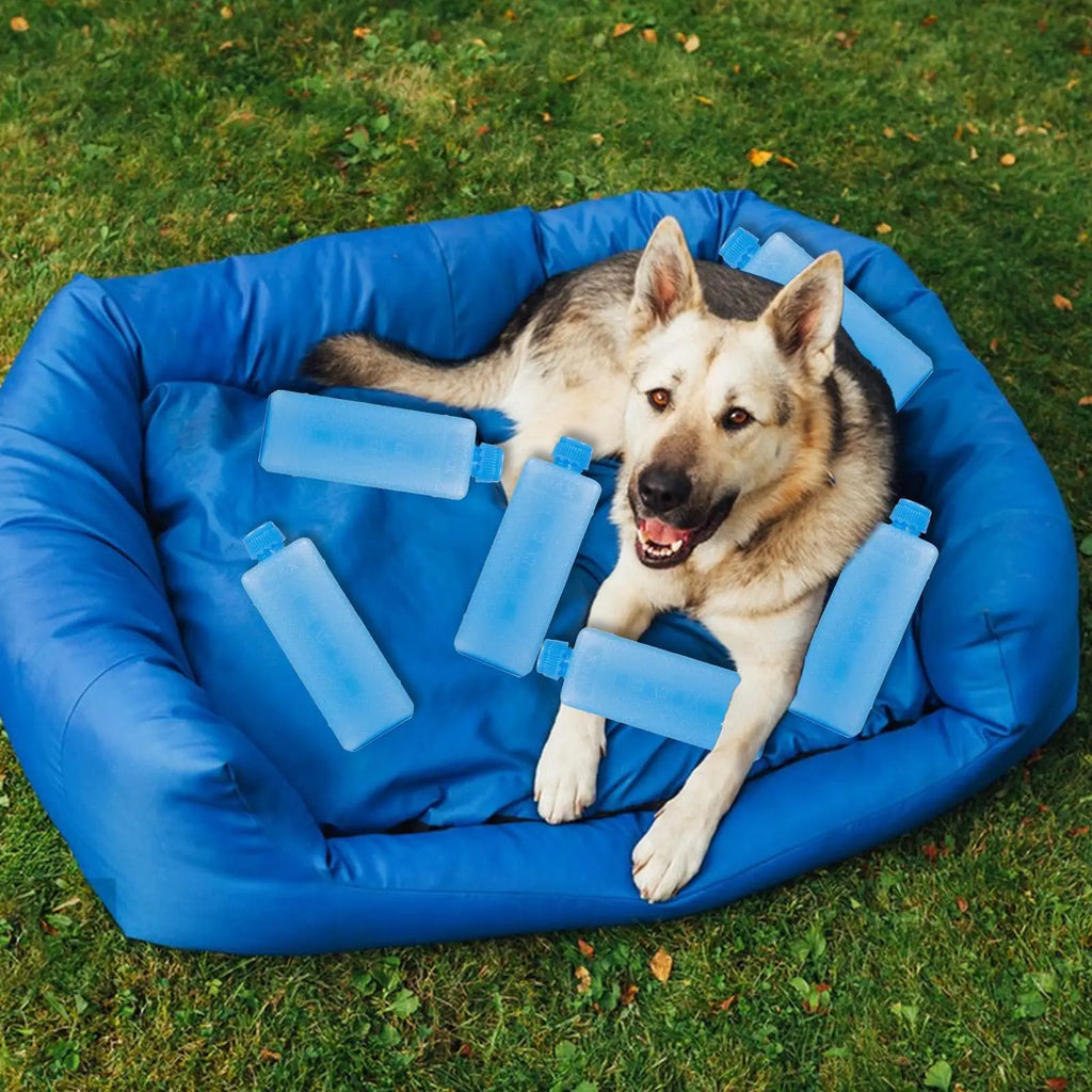 8-Pack Reusable PE Ice Packs | Long-Lasting Cooler Cooling