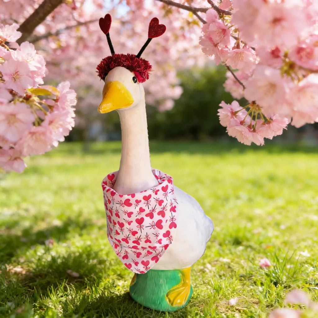 Porch Goose Bathrobe Costume – Cute Funny Goose Outfit
