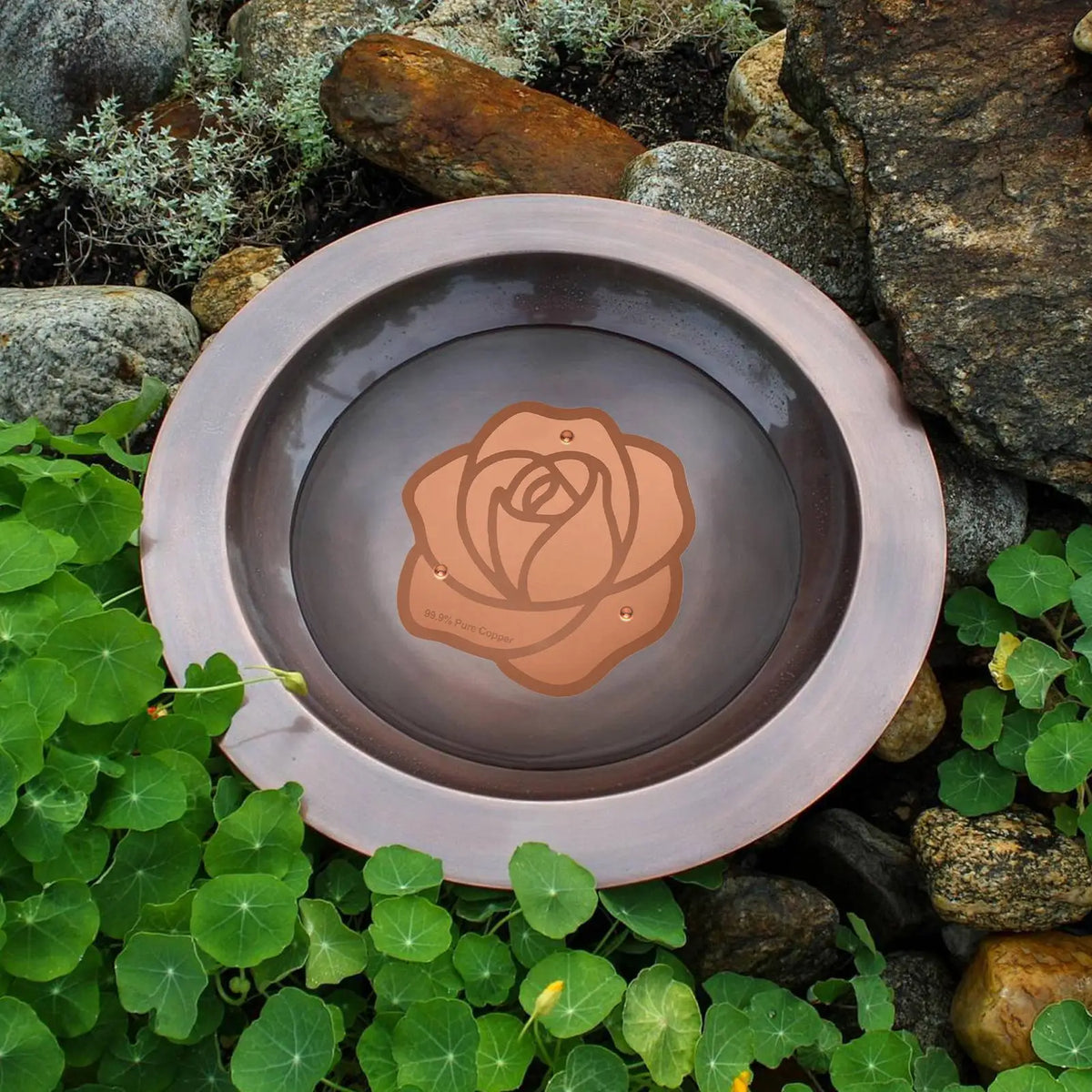 Copper Bird Bath Purification Disc | Triple-Point Support