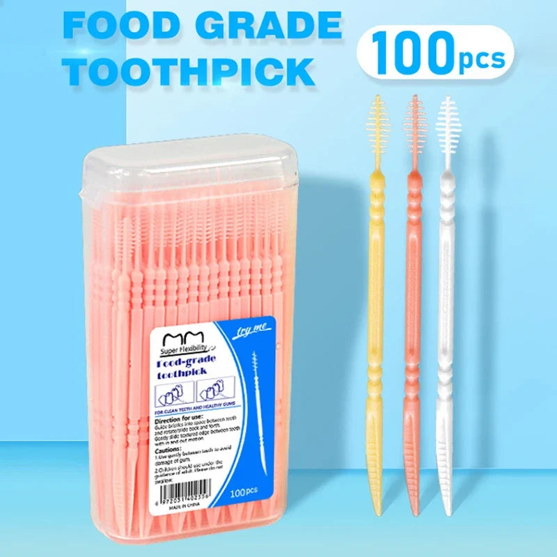 100-Pack Double Head Dental Toothpick Brush & Floss Picks