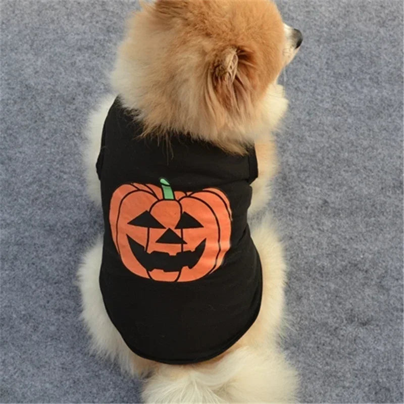 Halloween Pumpkin Dog & Cat Shirt – Cotton Pet Costume