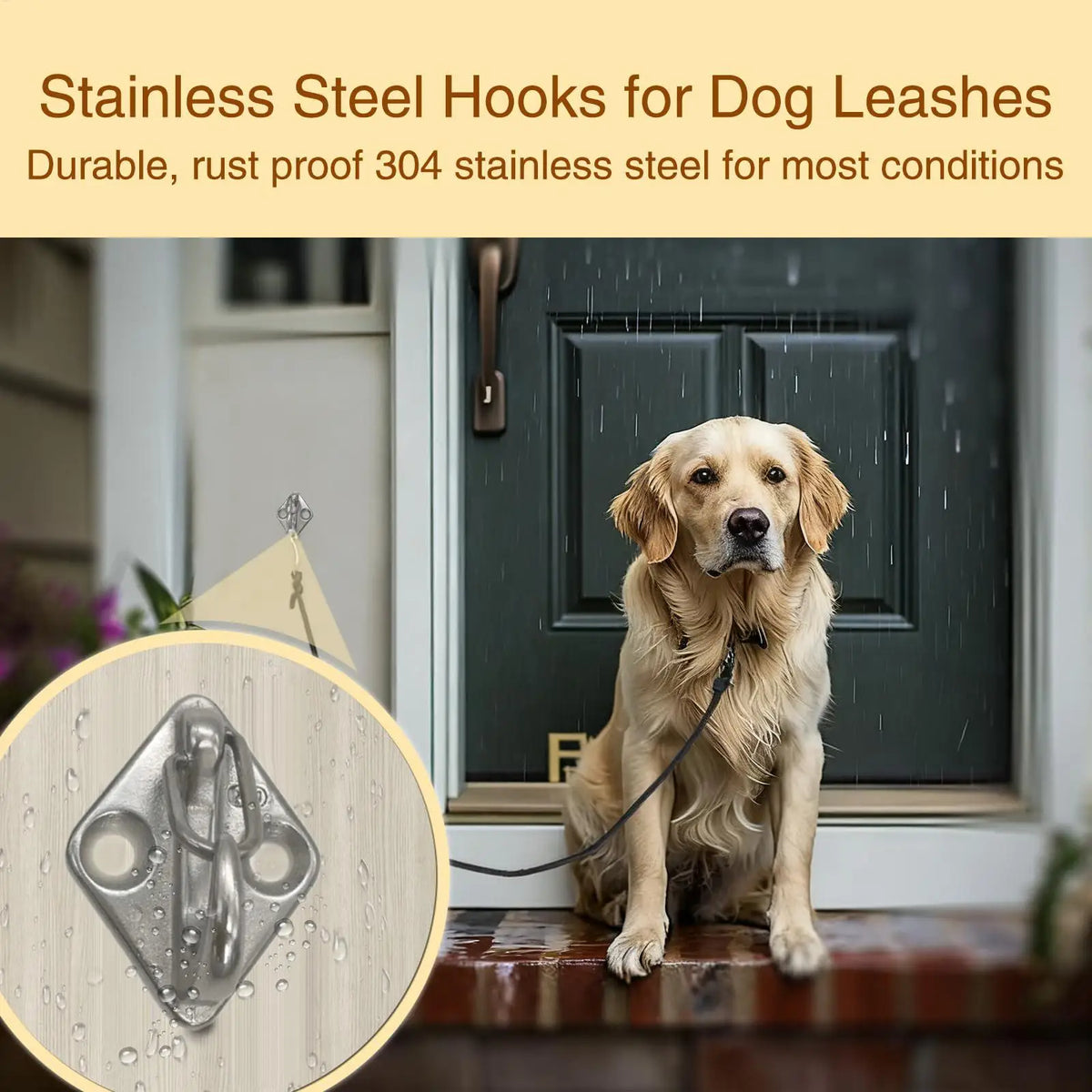 Stainless Steel Dog Lead Hook – Wall Mount Tie Out Holder
