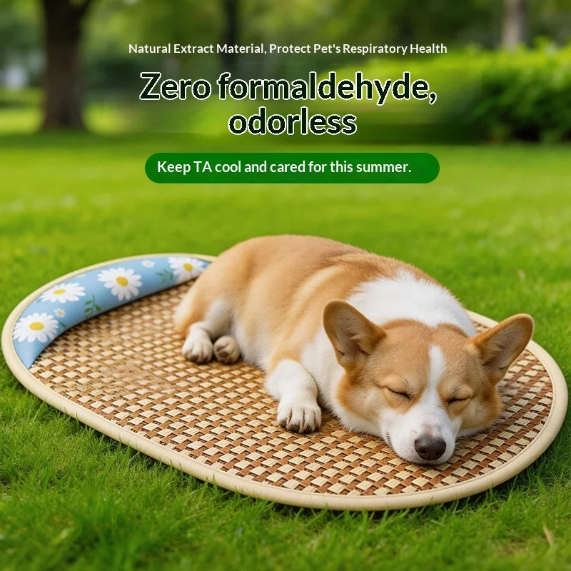 Summer Cooling Mat Dog Bed Cat House Pet Supplies Teddy Small Dogs