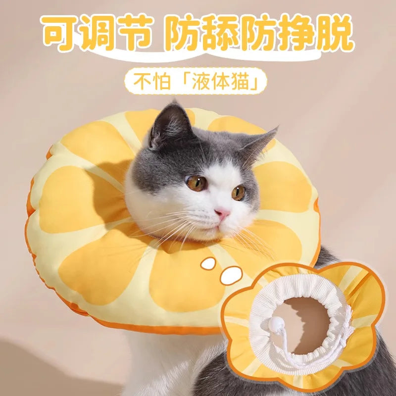 Cat Elizabeth Circle Kitten Anti-licking Bites Shame Collar Headband