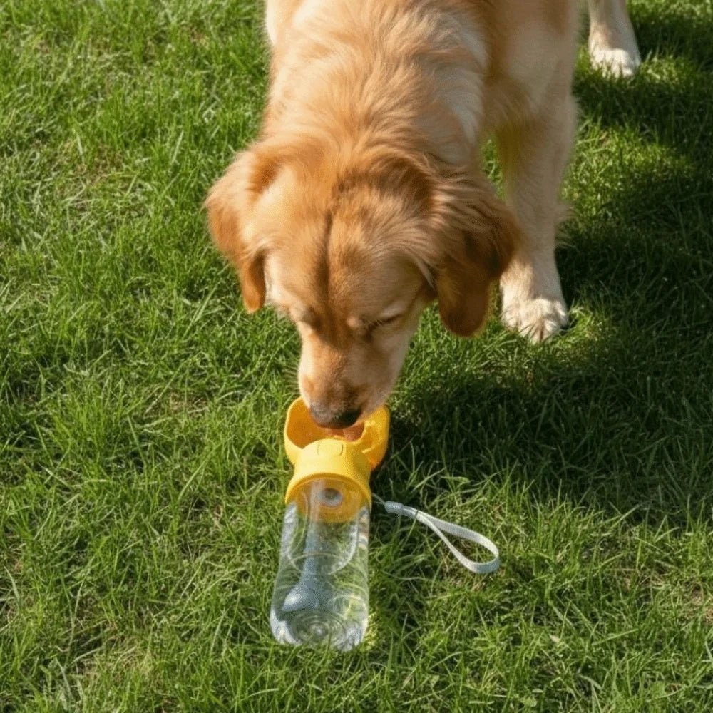 Leak-Proof Dog Travel Water Bottle with Filter | 380–500ml