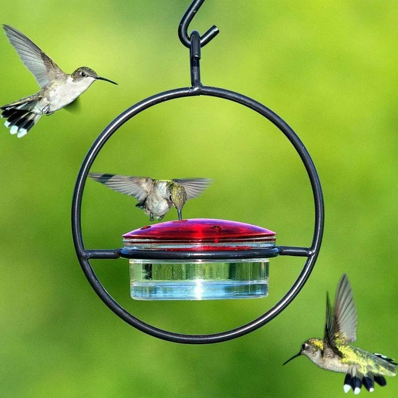 Large Capacity Metal Hanging Hummingbird Feeder | Patio & Deck