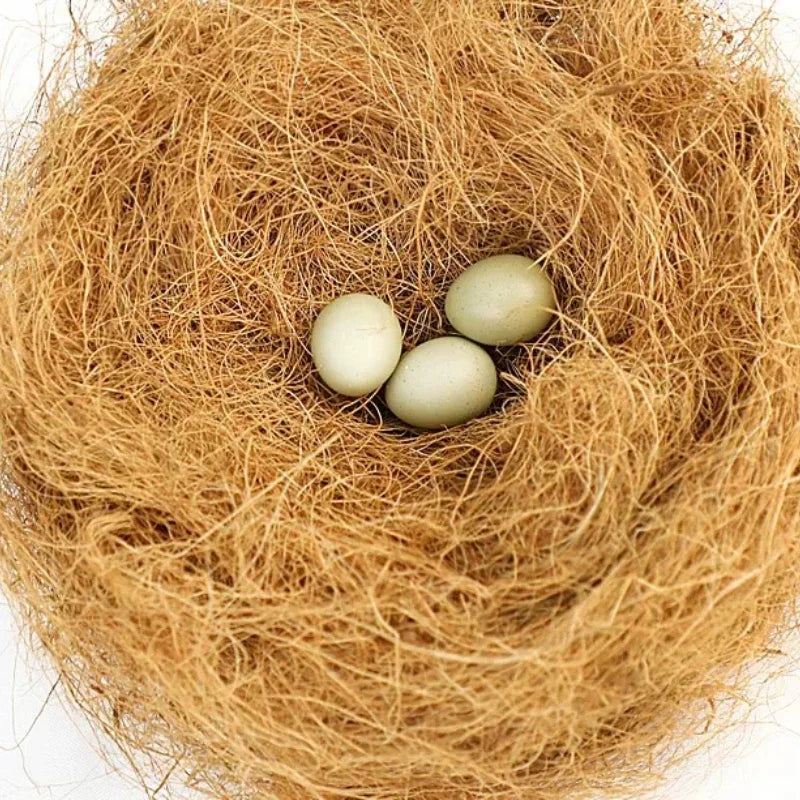 Coconut Fiber Bird Nesting Material – Canaries & Finches