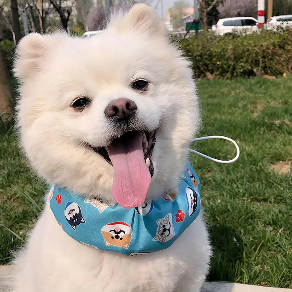 Pet Cooling Bandana & Ice Collar for Dogs & Cats | Adjustable