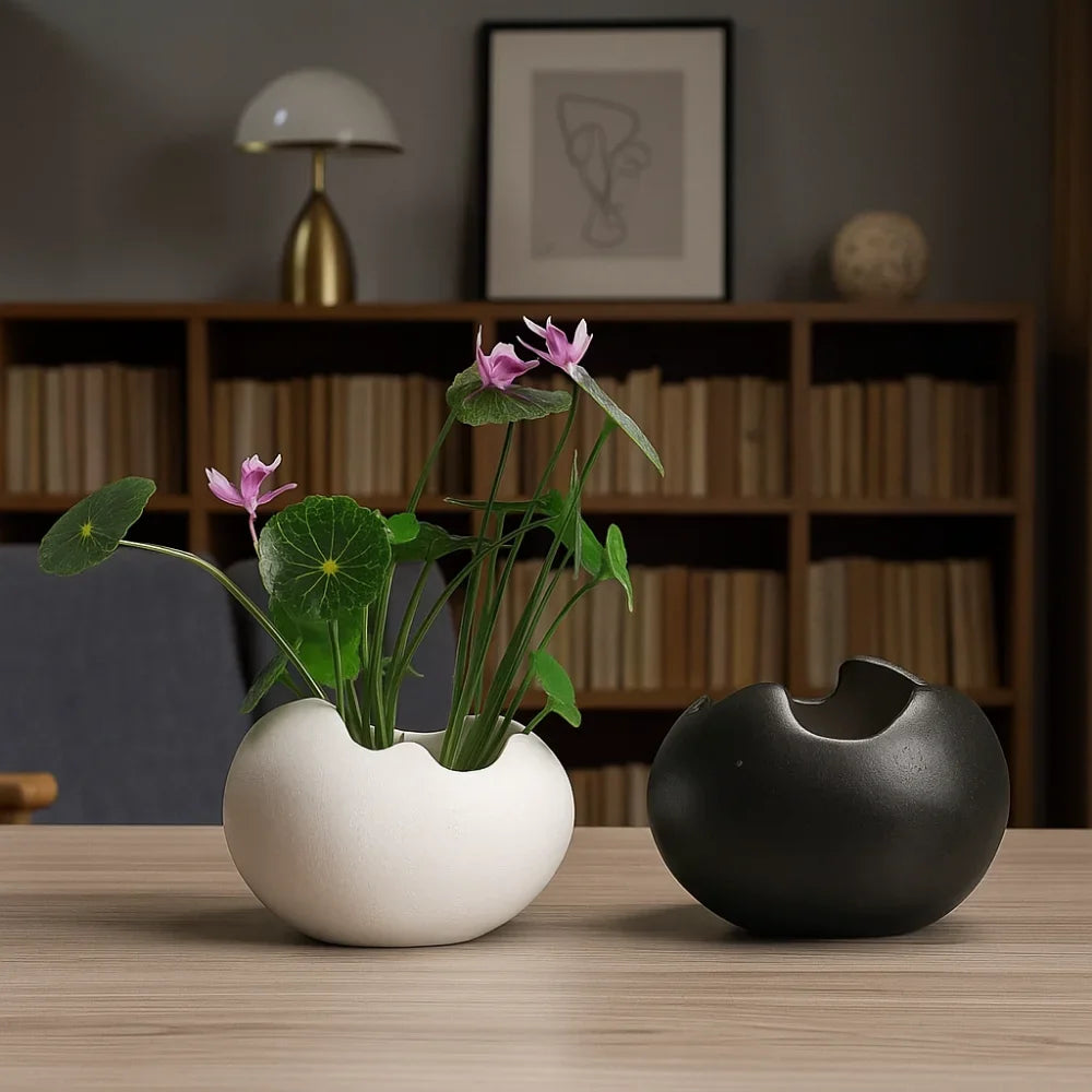 Ceramic Eggshell Succulent Planter | Bonsai Flower Pot Decor