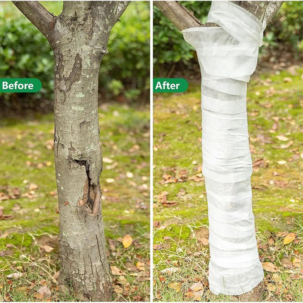 Tree Trunk Wrap – Frost & Freeze Protection for Trees & Shrubs