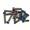 Gold Titanium Plated M3–M10 304 Stainless Hex Socket Screws