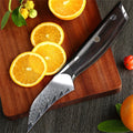 67-Layer Damascus Steel Paring Knife – Fruit Peeling Knife
