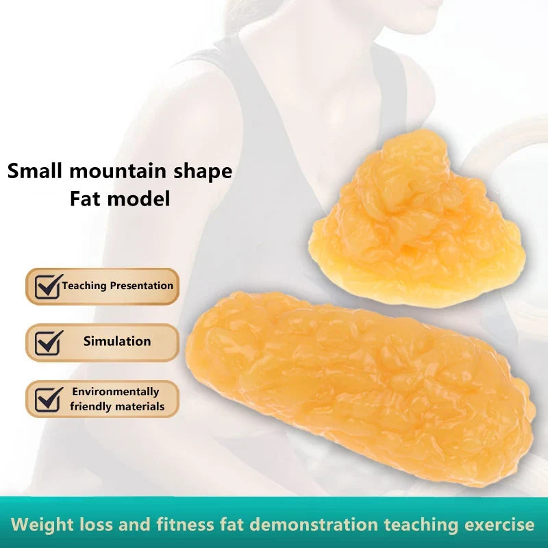 1 lb Human Fat Tissue Replica Model – Silicone Anatomy Demo
